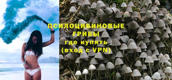 амф Белокуриха