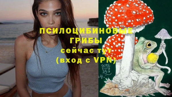 амф Белокуриха